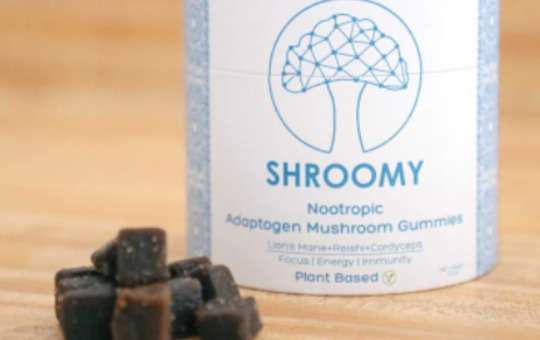 shroomy mushroom gummies