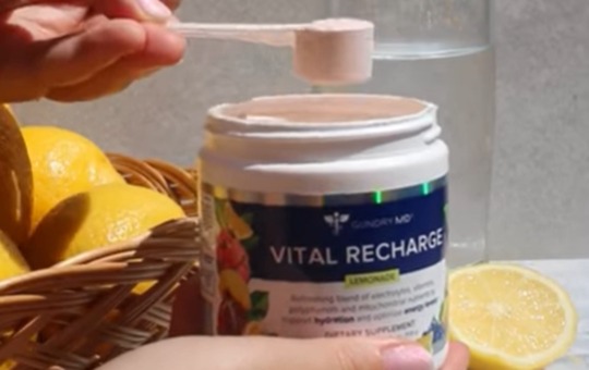 gundry vital recharge scoop