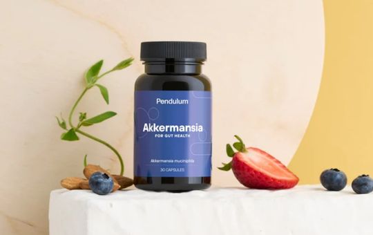 pendulum akkermansia probiotic belly fat