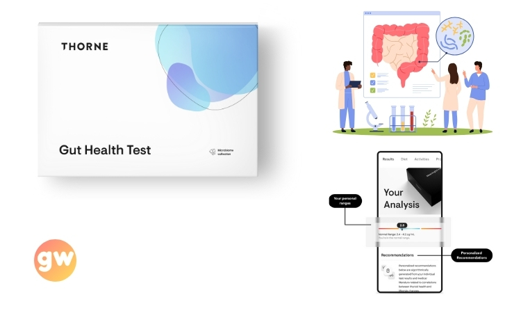 thorne gut test